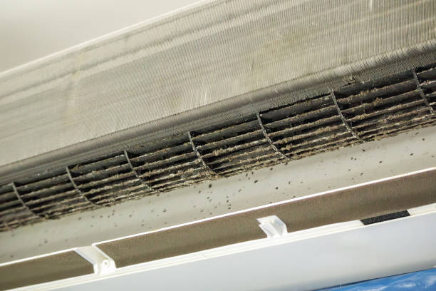 Best Air Duct Cleaning Near Me  in Owingsville, KY